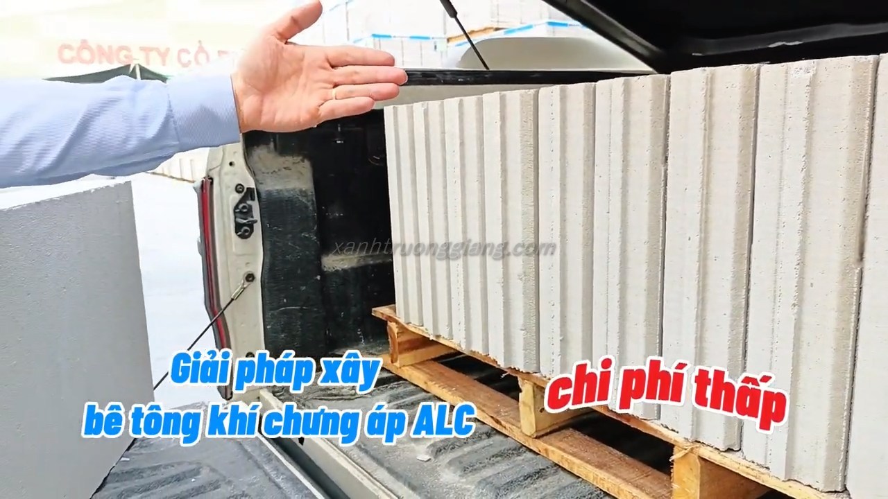 be tong nhe xanh truong giang 20
